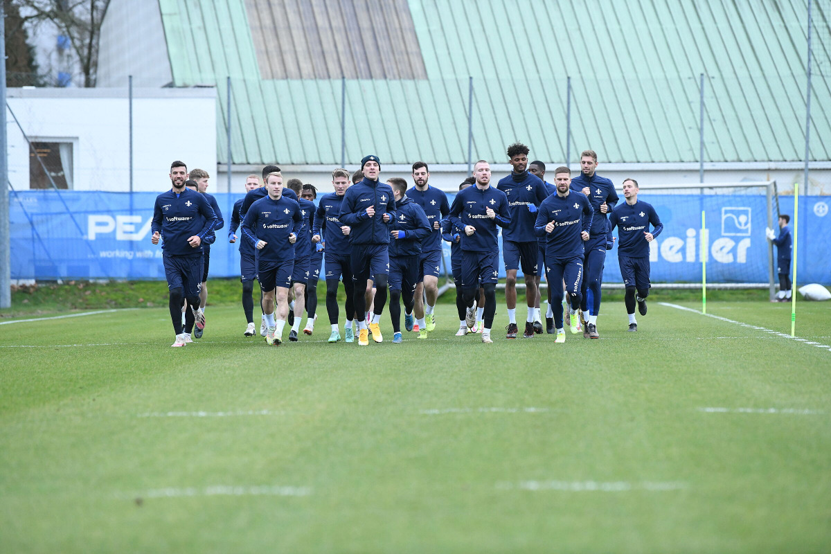 Lilien in Winter-Vorbereitung gestartet