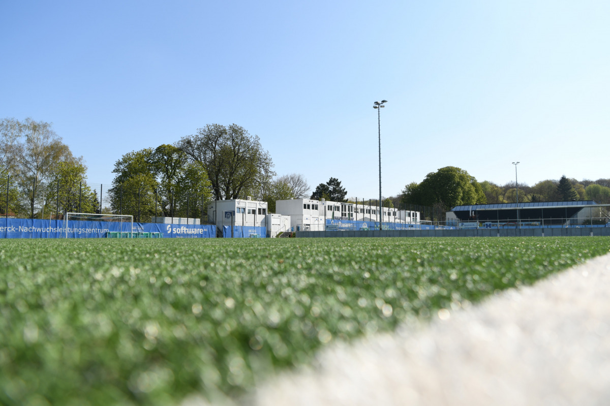 Ausblick auf das Wochenende der Junglilien
