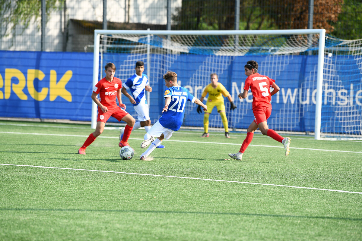 Rückblick auf das Wochenende der Junglilien