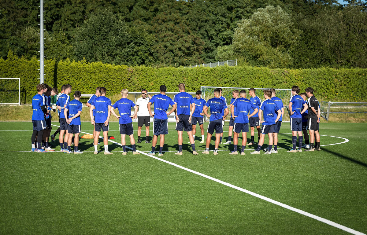 Ausblick auf das Wochenende der Junglilien