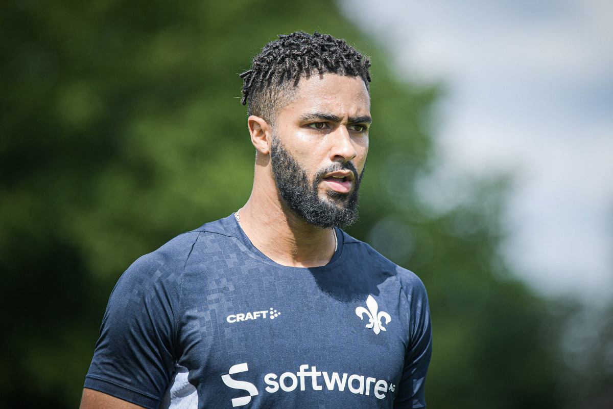 Lilien verstärken sich mit Bennetts