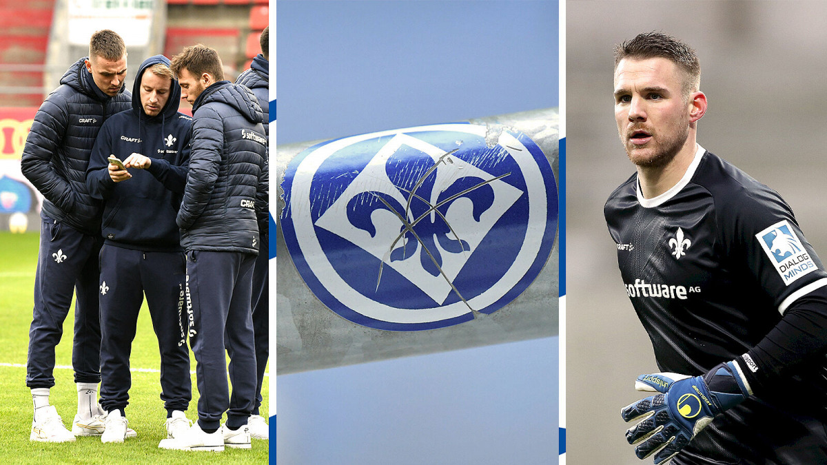 Social-Media-Zuwachs | 98er Geburtstage | Fokus auf Sonntag