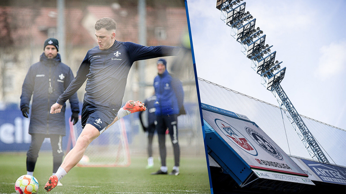 „Direkt wohlgefühlt“ | Im Lilien-Express an die Ostsee