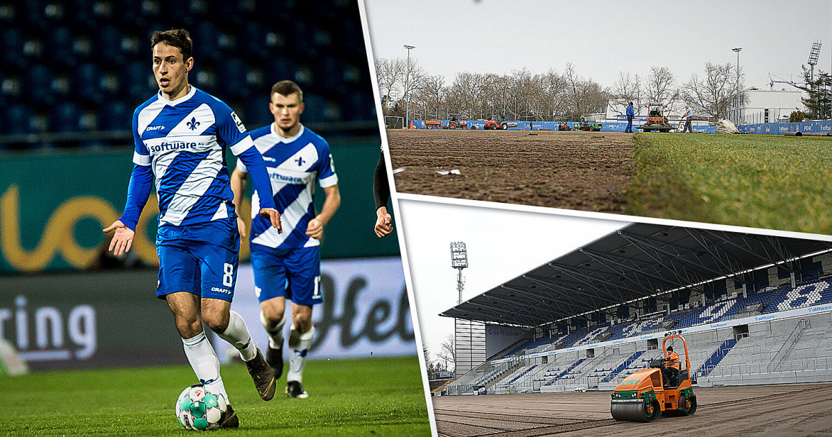 Schnellhardt jetzt dreistellig | Neues Grün am Bölle