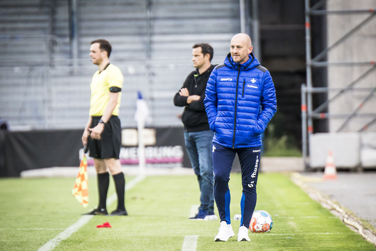 Testspiel-Dreierpack: Lilien testen in der Region