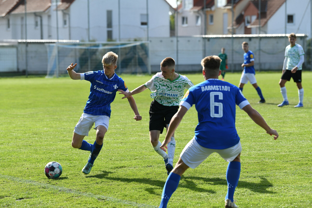 Ausblick auf das Wochenende der Junglilien