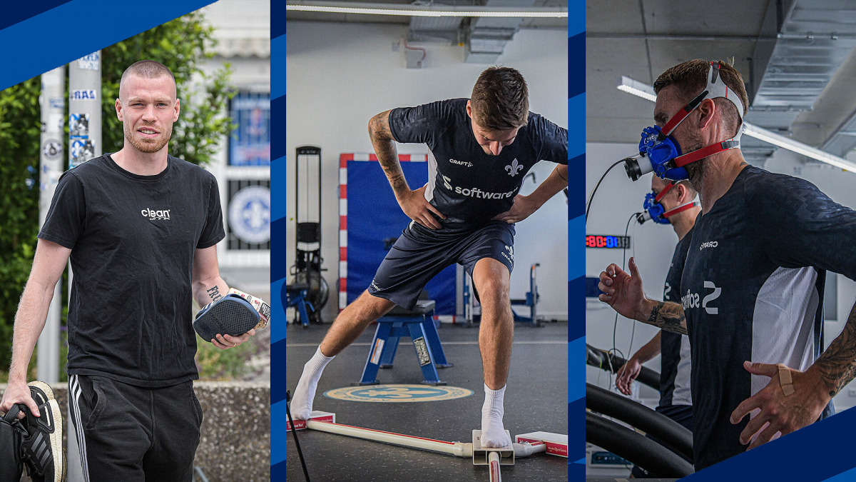 Die Lilien sind zurück am Bölle