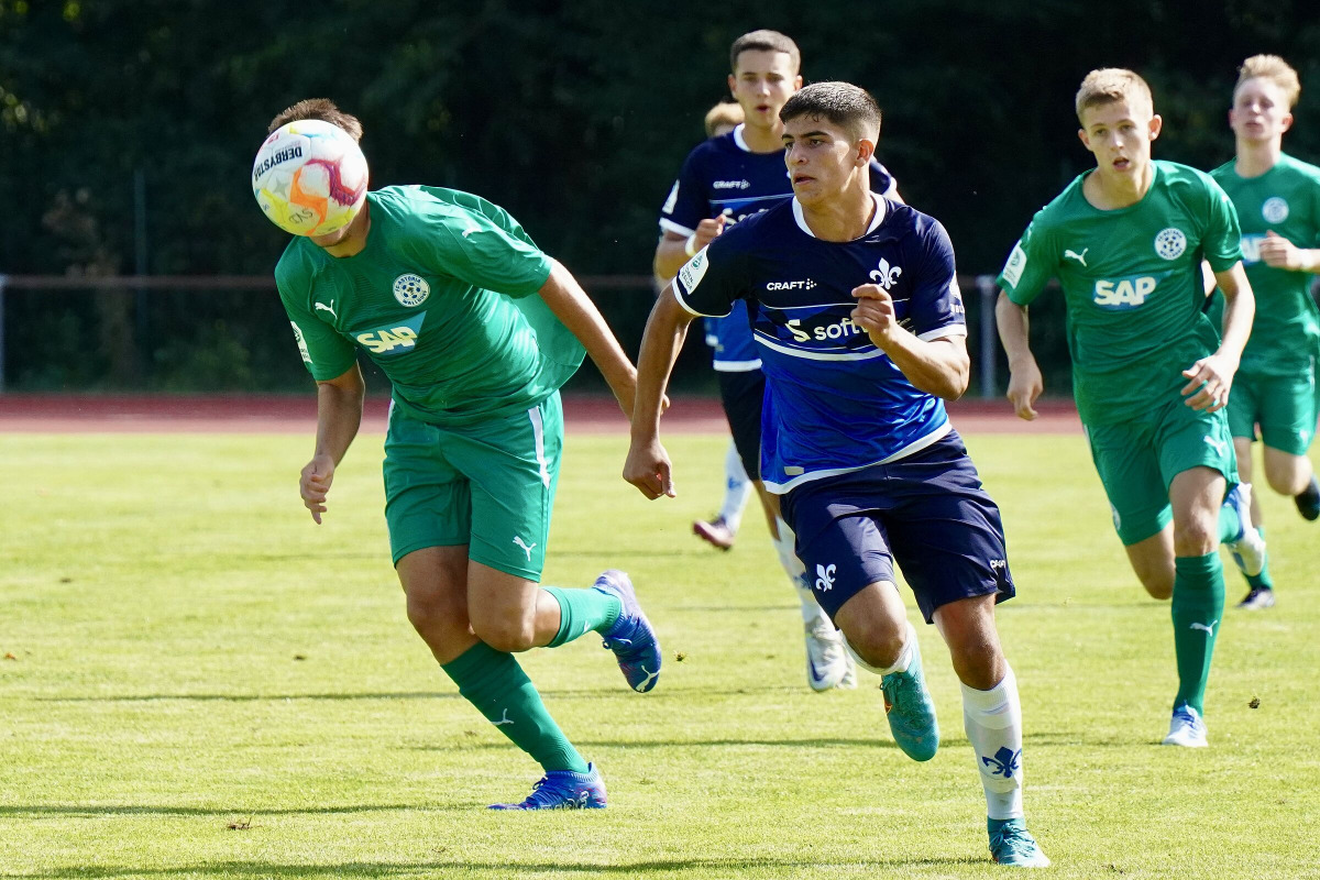 Rückblick aufs Junglilien-Wochenende