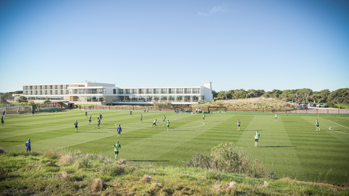 El Saler: Das Winter-Domizil der Lilien