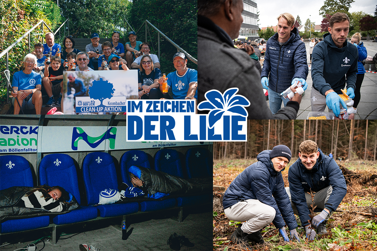 Im Zeichen der Lilie: Das zweite Halbjahr 2023