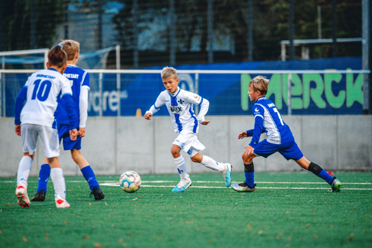 Software AG-Lilien-Fördertraining: Neue Termine ab Anfang Februar