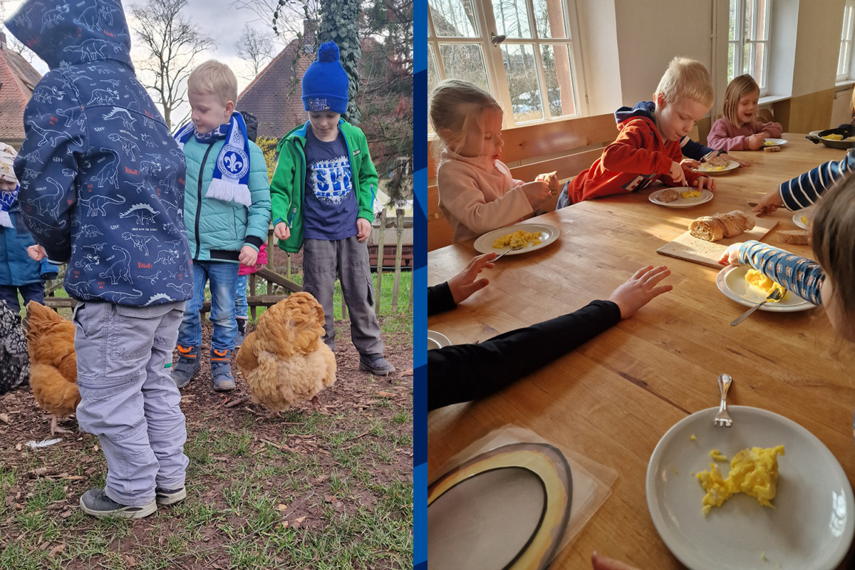 “From chicken to egg” – Bölle Gang visits a farm