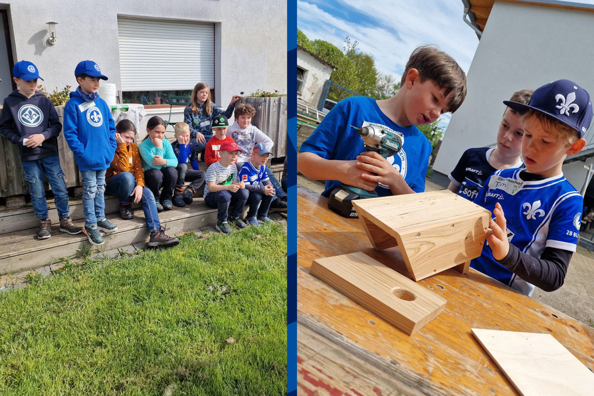 Bölle Bande besucht Birkenhof: Abenteuer auf dem Bauernhof!