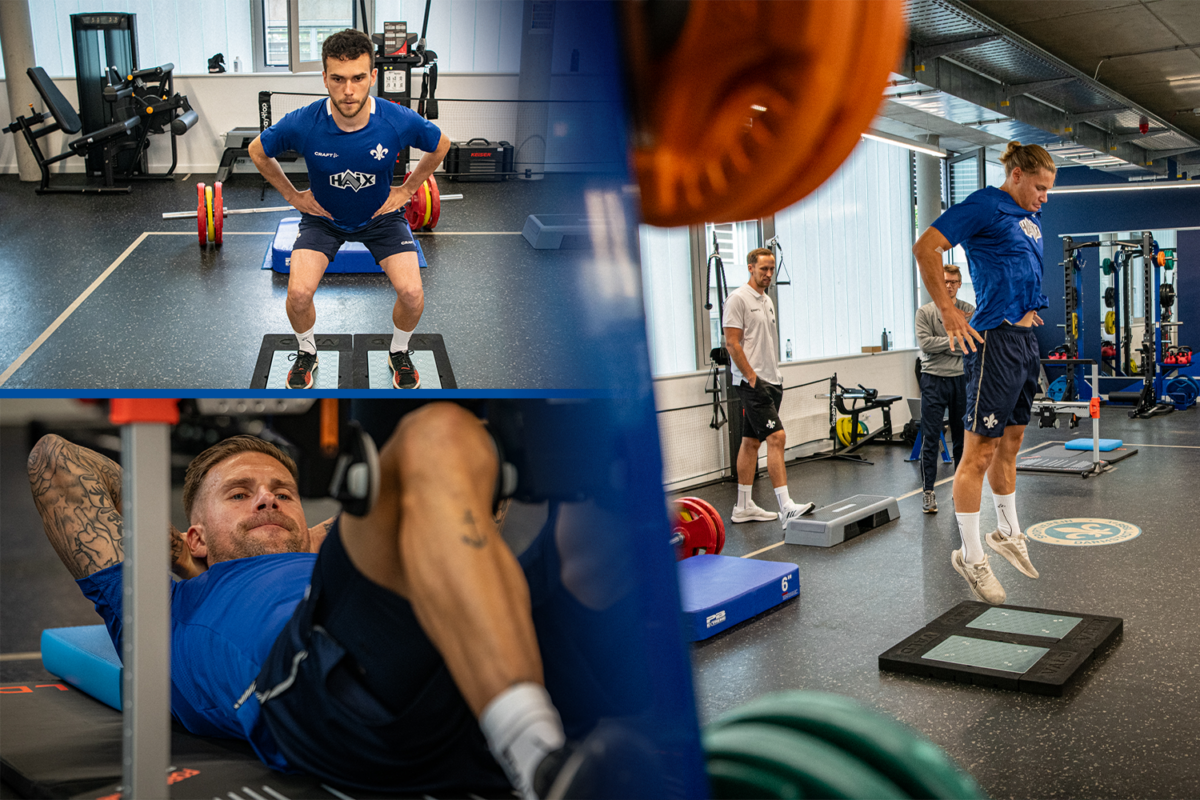 Lilies start preparing for summer!