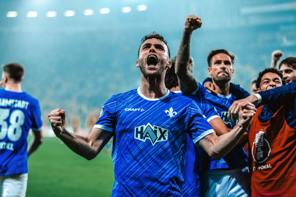 Analysis of the Cup Fight