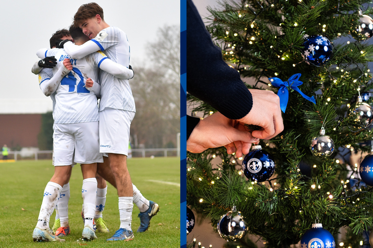 Junglilies on fire | Get your Christmas tree!