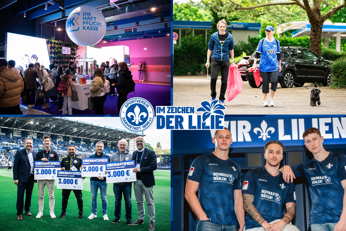 Under the sign of the Lily: The first half of 2025