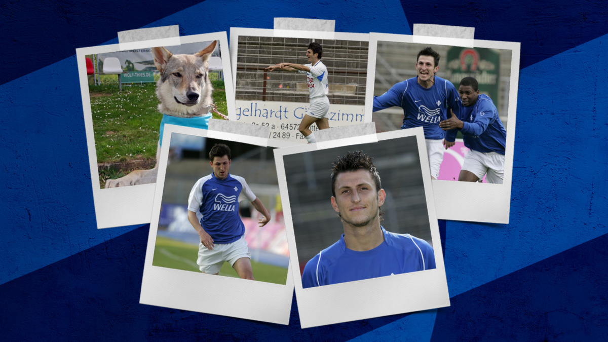 What does Nico Beigang actually do?