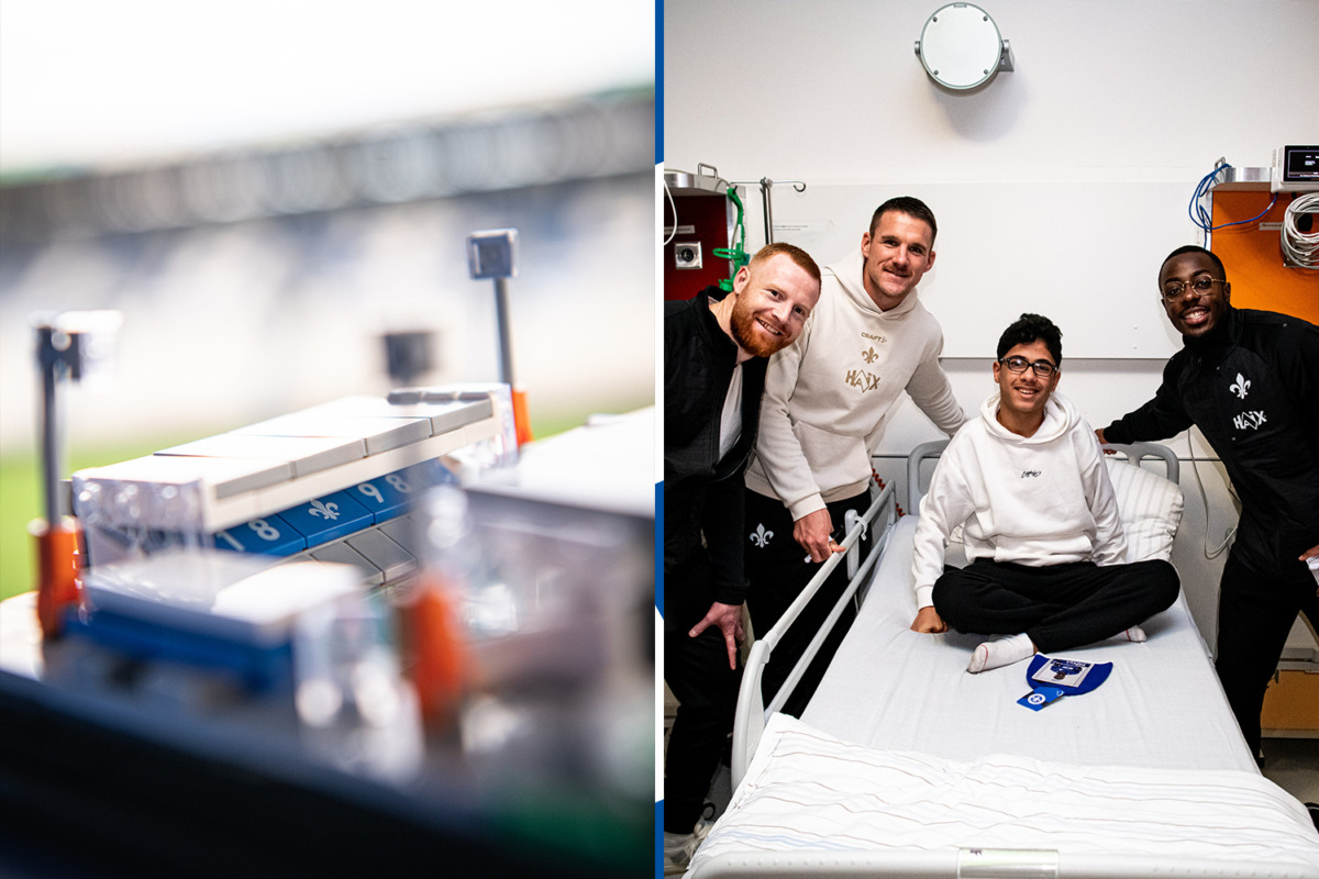 Gift ideas for Lily fans | Lilies on a pre-Christmas mission