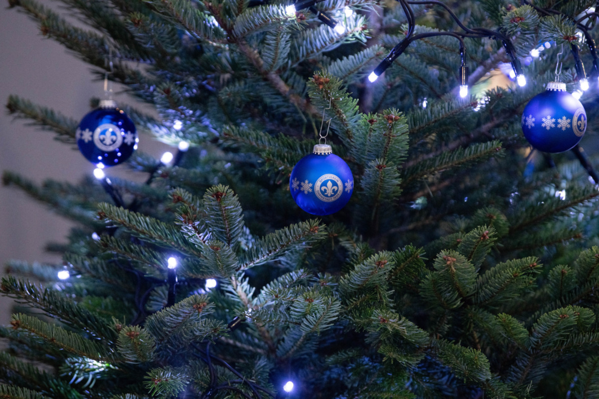 Eine Nacht unter freiem Himmel | Weihnachtsbaumverkauf am Bölle